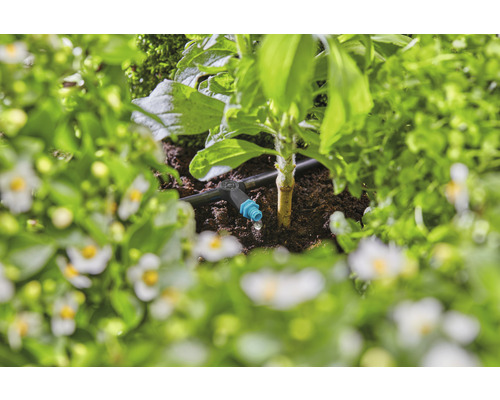 Druppelirrigatiesysteem in een tuinbed met planten