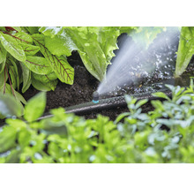 Irrigatiesysteem met druppelslang en planten in de tuin
