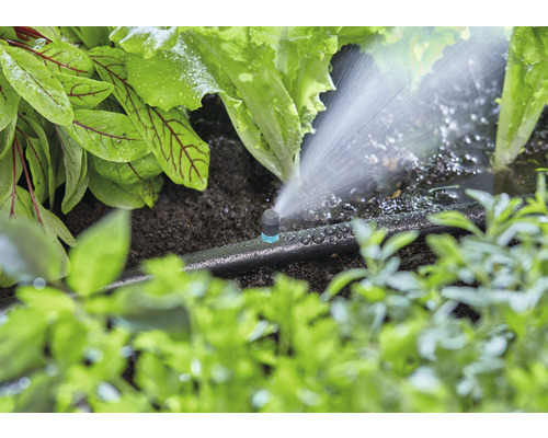 Irrigatiesysteem met druppelslang en planten in de tuin