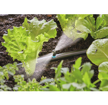 Irrigatiesysteem in gebruik tussen slaplanten in een tuinbed.