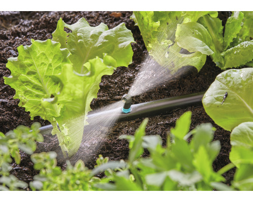 Irrigatiesysteem in gebruik tussen slaplanten in een tuinbed.