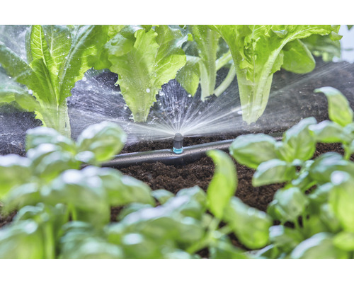 Irrigatiesysteem met sla en basilicum in de tuin
