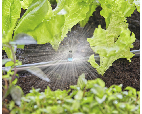 Irrigatiesysteem in de tuin met slaplanten