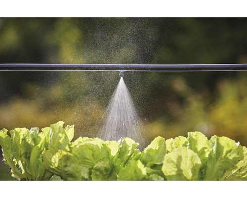 Irrigatiesysteem met druppelslang en slaplanten