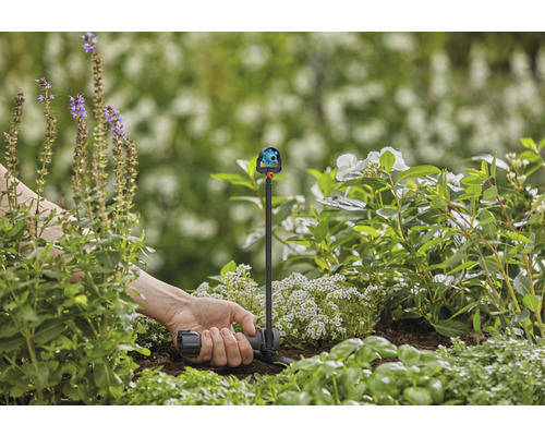 Tuinbesproeiing met veelvlakssproeier in bloembed