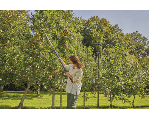 Vrouw oogst appels met een fruitplukker in de tuin.