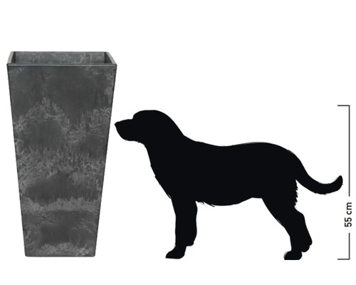 Rechthoekige plantenbak met hondensilhouet voor maatvergelijking