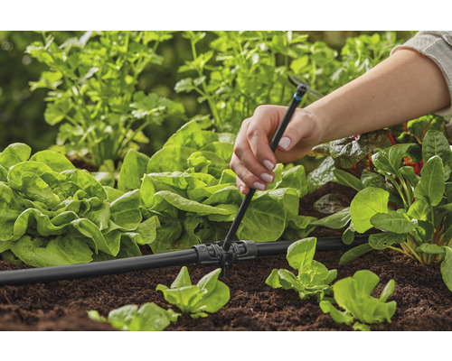 Installatie van een irrigatiesysteem in de tuin om slaplanten van water te voorzien