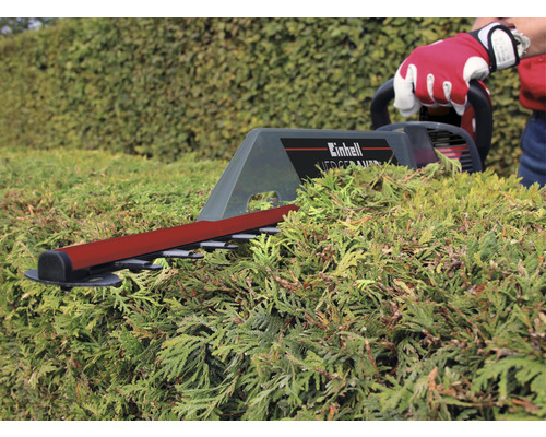 Einhell heggenschaar bij het snoeien van heggen