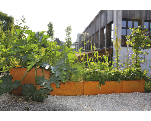 Verhoogde tuinbak beplant met groenten en kruiden voor een gebouw