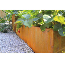 Metalen plantenbak met aardbeien en planten in de tuin