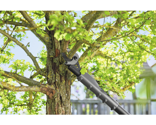 Takkenschaar in gebruik op een boom in de tuin.