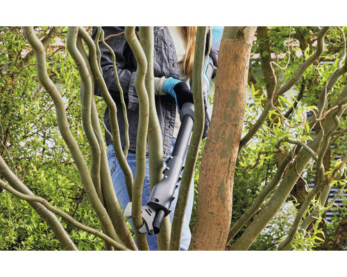 Vrouw snoeit takken met een takkenschaar