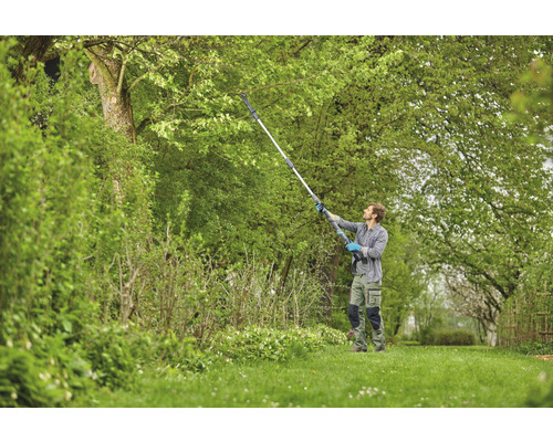 Man snoeit boom met hoogtetrimmer in de tuin