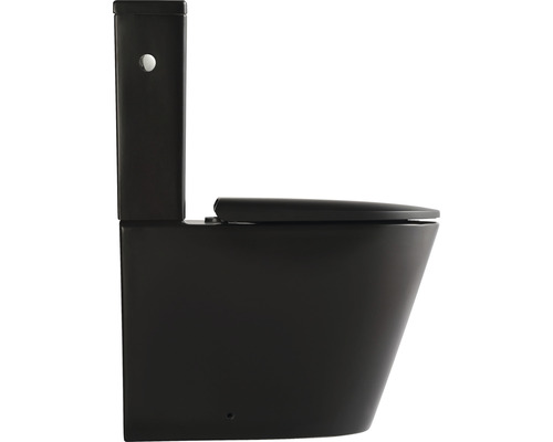 Staand toilet met spoelbak en toiletzitting