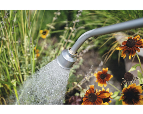 Gieter bewaterd planten in de tuin.