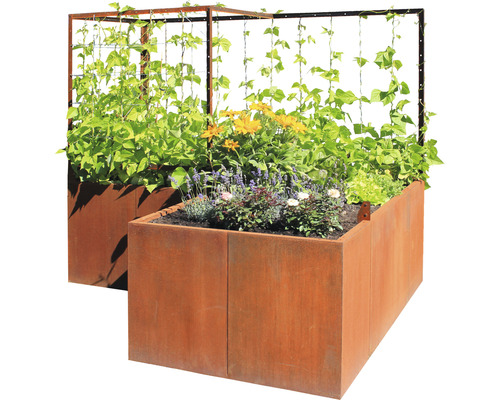 PALATINO Plantenrand verhoogd en wand set Urban Cortenstaal roest 300x100 cm Twee metalen plantenbakken met klimhulp, beplant