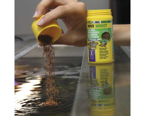 JBL Novo Insect visvoer wordt in een aquarium gedaan