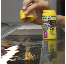 JBL Novo Bel visvoer met knoflook wordt in het aquarium gestrooid.