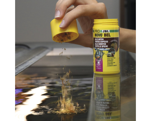 JBL Novo Bel visvoer met knoflook wordt in het aquarium gestrooid.