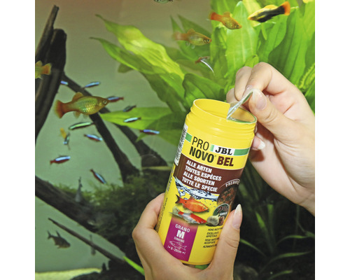 JBL NovoBel voerbus voor alle vissoorten wordt met de hand geopend voor aquarium