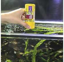JBL Pro Novo Guppy vlokkenvoer voor siervissen in aquarium
