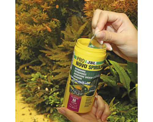 JBL Novo Spirulina visvoer voor herbivoren