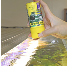 Hand voedt vissen met JBL Novo Spirulina voer