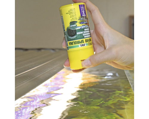 Hand voedt vissen met JBL Novo Spirulina voer