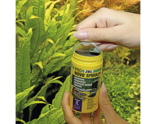 JBL Novo Spirulina visvoer voor herbivore vissen in doos