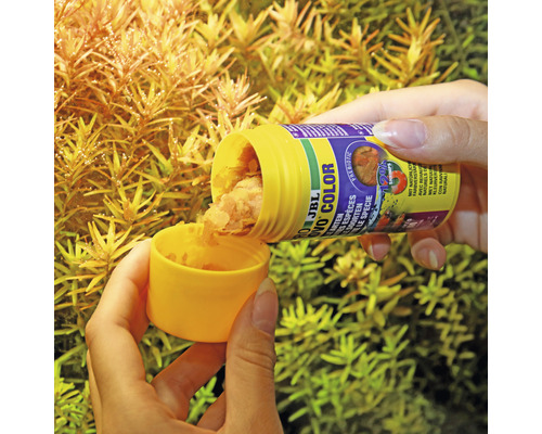 Persoon giet JBL Novo Color vlokkenvoer in deksel voor planten
