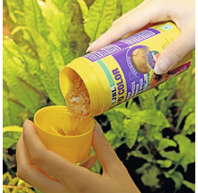 JBL ProNovo Color Visvoer vlokken M 250 ml