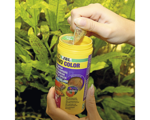 JBL Novo Color visvoer blik wordt geopend.