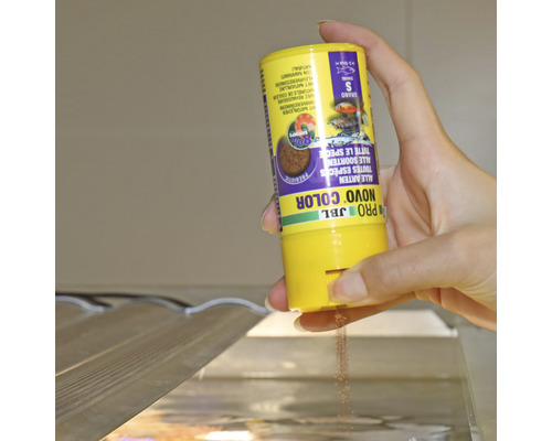 JBL Novo Color visvoer wordt boven een aquarium gegeven