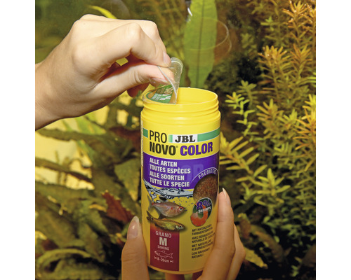 Pro JBL Novo Color visvoer pot wordt geopend.