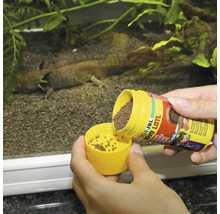 Overzicht van een axolotl aquarium waar JBL Novo Lotl axolotl voer aan wordt toegevoegd