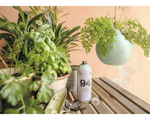 Scène met planten, hangende plantenbak en verfspuitbus op een houten tafel.