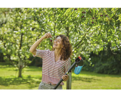 Vrouw plukt kersen met een fruitplukker in de tuin