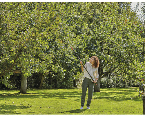 Vrouw oogst appels met een fruitplukker in de tuin.