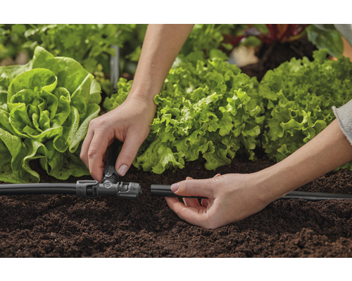 Installatie van een irrigatiesysteem voor de tuin met slaplanten