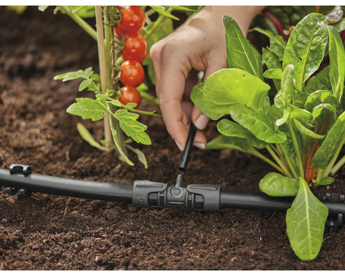 Druppelirrigatiesysteem in gebruik voor het bewateren van planten in de tuin.