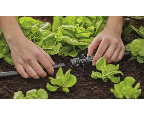 Tuinirrigatie met druppelslang en regelstuk in de groentetuin