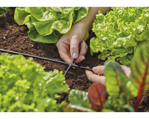 Close-up van handen die een koppeling aan een irrigatieslang in een moestuin bevestigen.