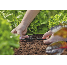 Installatie van irrigatiesysteem in tuin met slaplanten