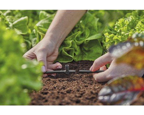 Installatie van irrigatiesysteem in tuin met slaplanten