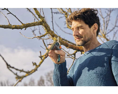 Een man snoeit een tak met een snoeischaar.