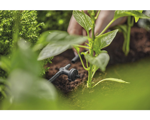 Druppelbevloeiing met regel- en afsluitventiel voor planten