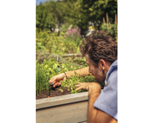 Man installeert een irrigatiesysteem in een verhoogde tuinbak met kruiden en planten.