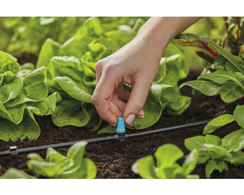 Close-up van een persoon die een druppelaar bevestigt aan een irrigatiesysteem in de moestuin