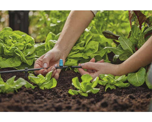 Installatie van een irrigatiesysteem in de tuin